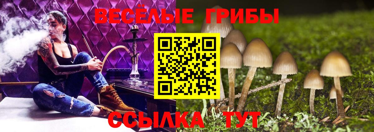 ГАШ  Меф   Ковров  Цена  Вход с VPN  МАРИХУАНА  COCAIN 