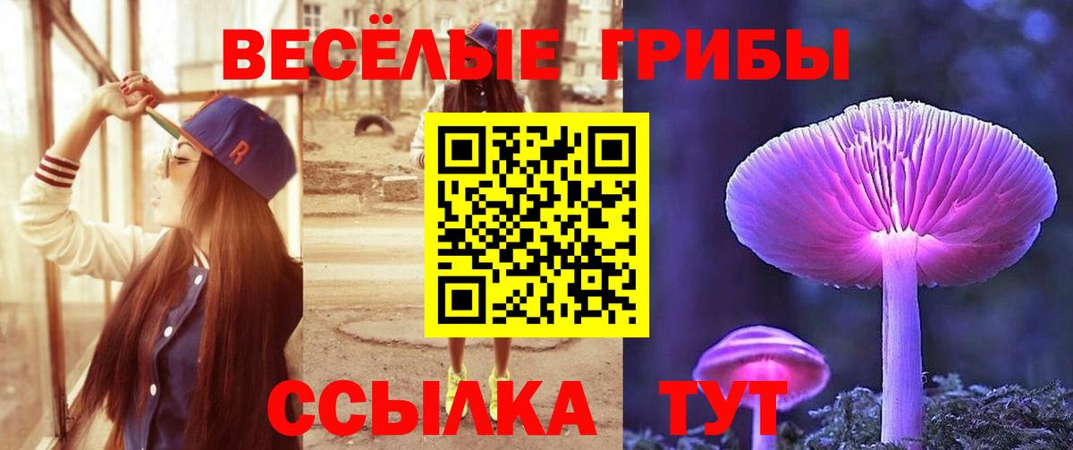 Псилоцибиновые грибы Psilocybine cubensis Ковров